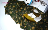 Class 3 - Polo or Turtle Collar