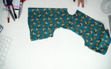 Class 6 - Flat Round Collar