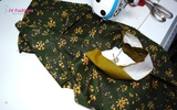Class 3 - Polo or Turtle Collar