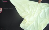 Class 30 - Can Can Skirt and Hoop Skirt